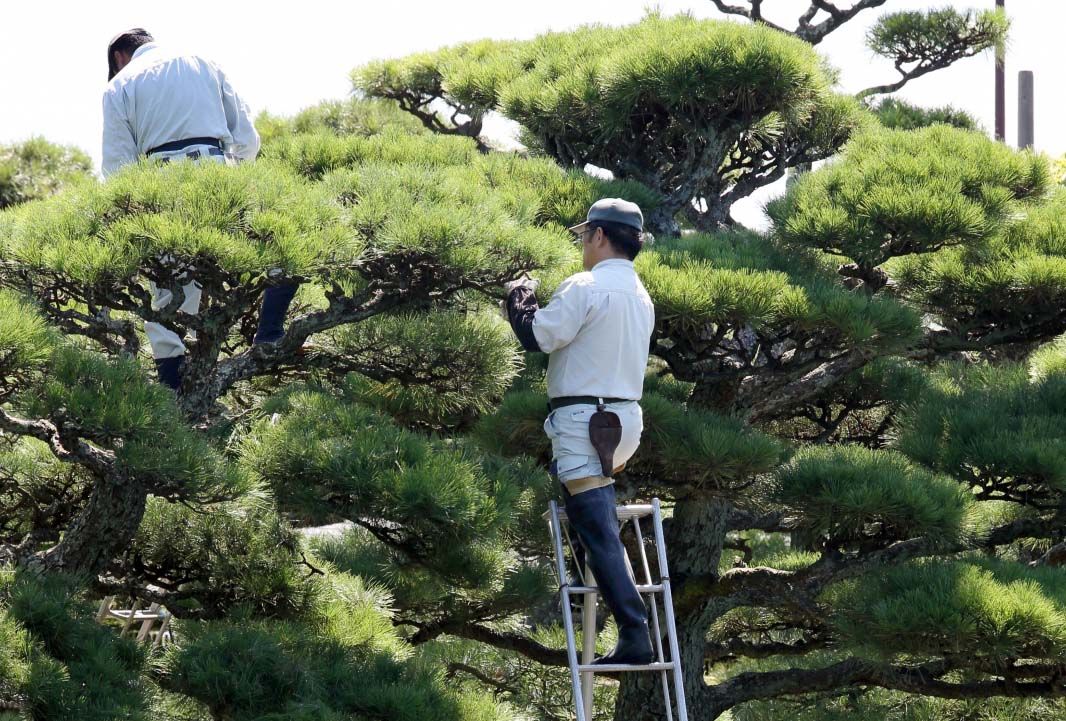 園藝師