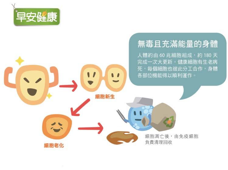細胞