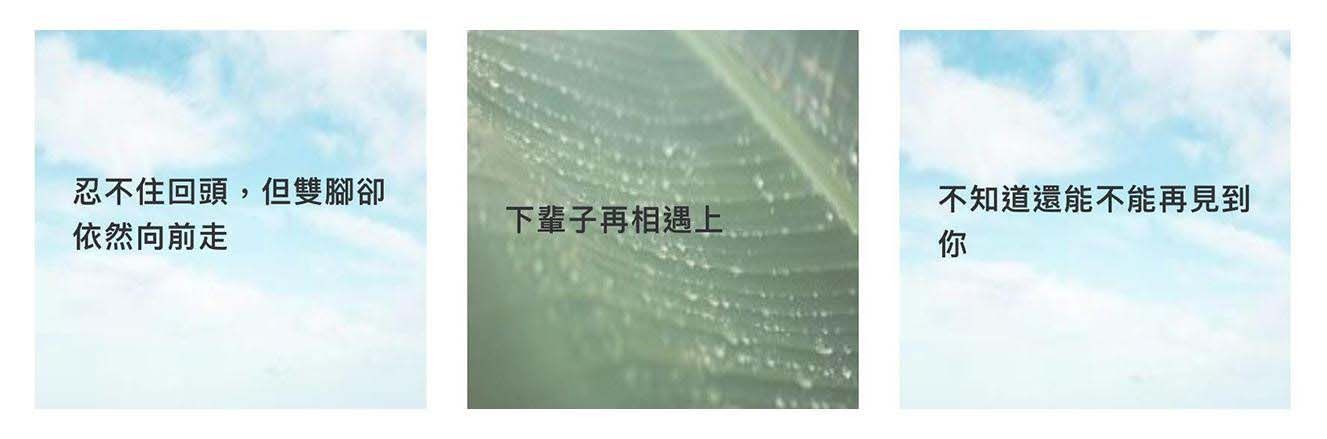 表達