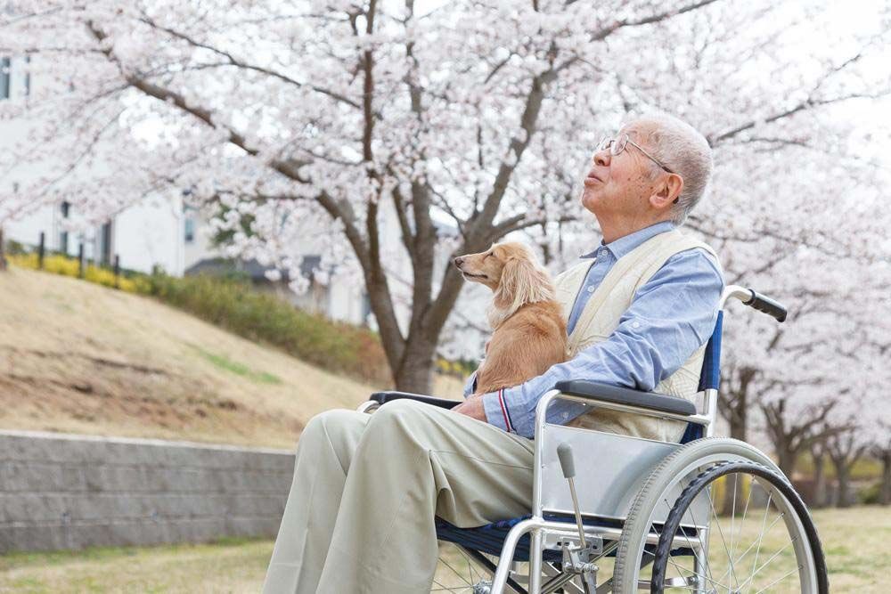靈性
