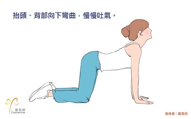 伸展運動
