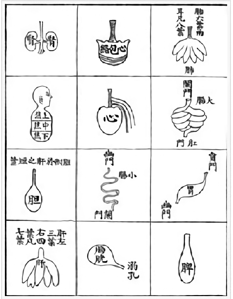 中醫