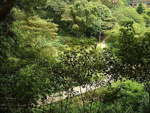 Formosa Wandering-flickr(鶯歌石).jpg