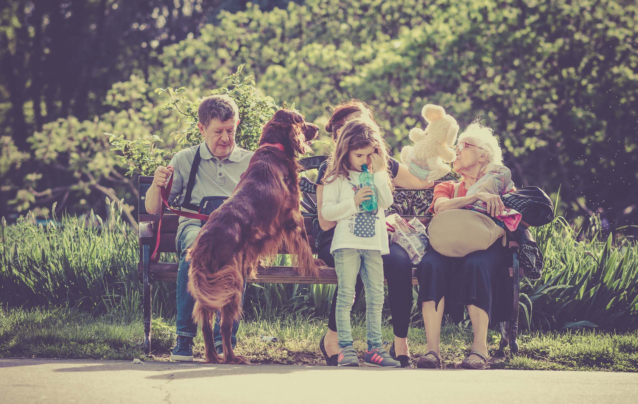 StockSnap-family-park-old.jpg