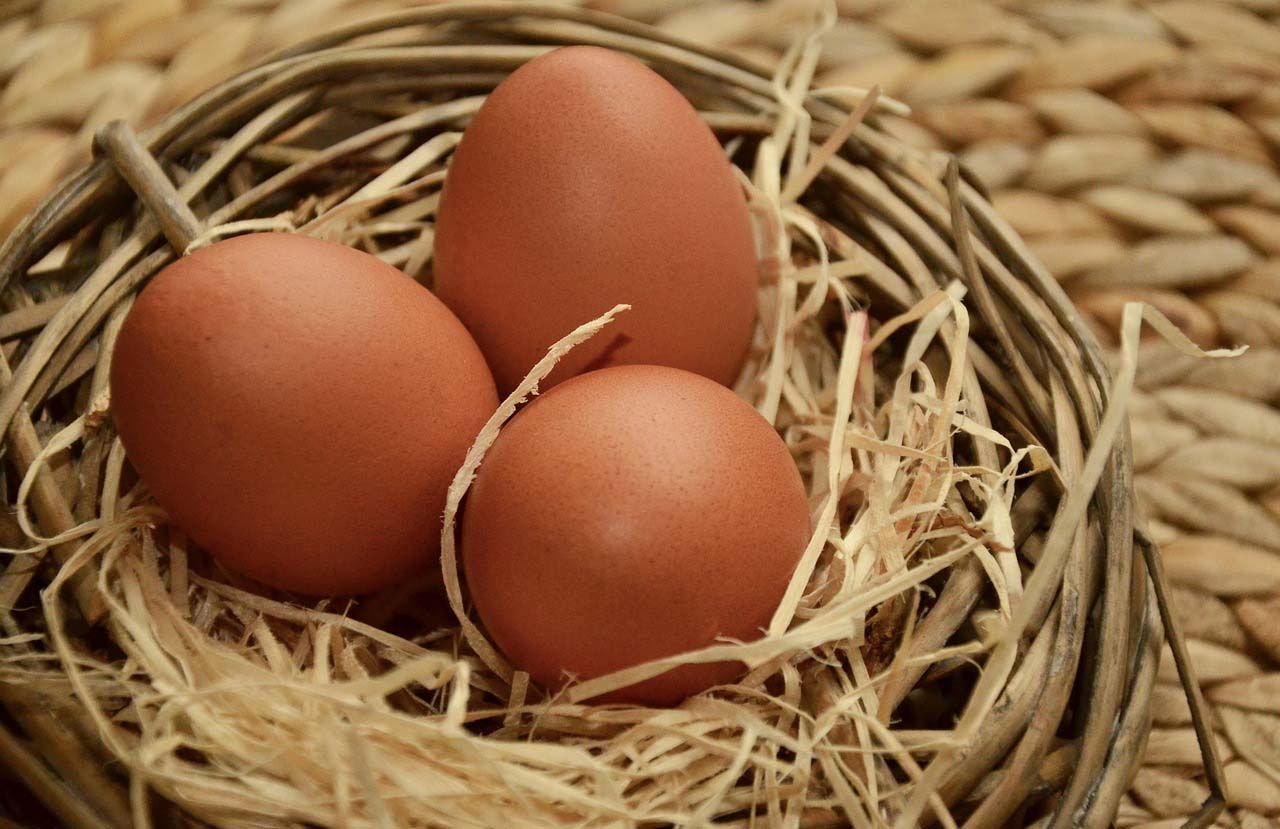 egg-pixabay1280.jpg