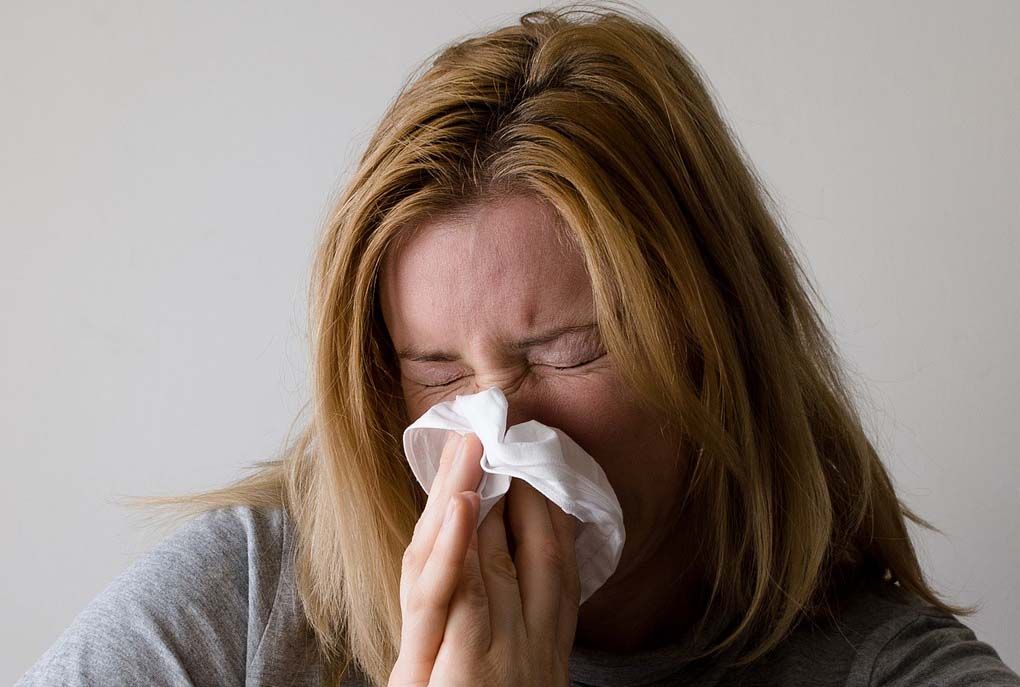 nose-sick-pixabay1.jpg