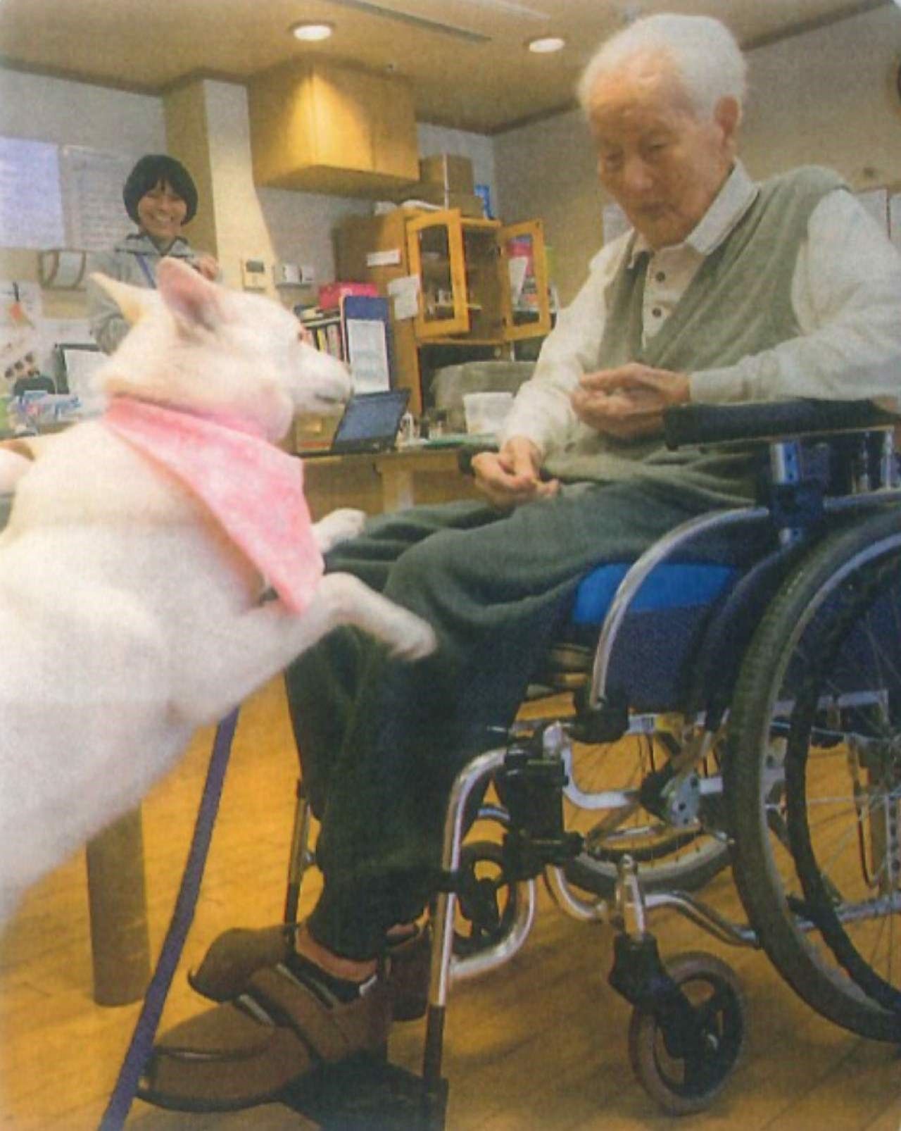非藥物療法