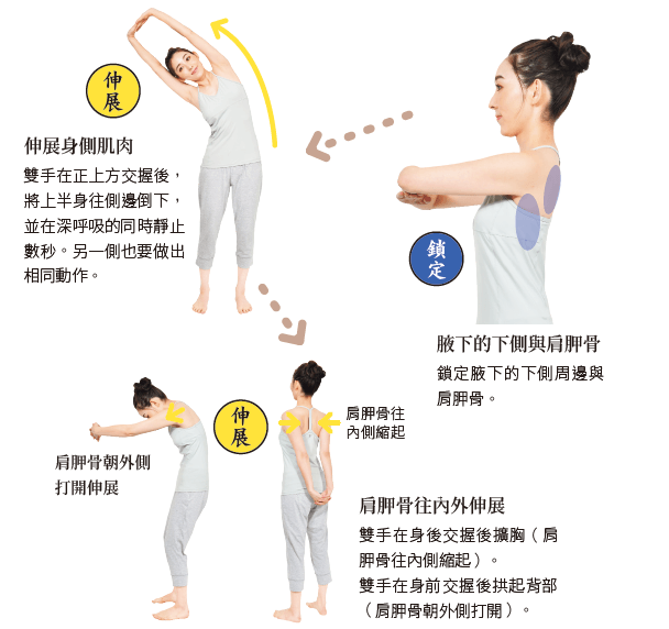 肩膀
