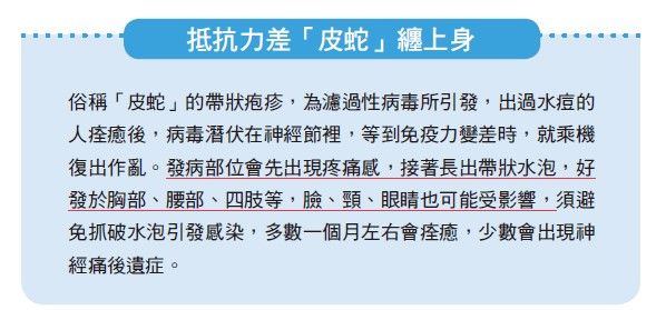 皮蛇