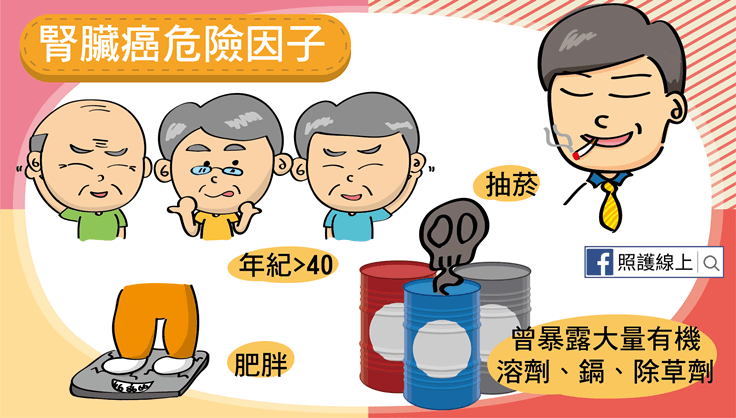 腎臟