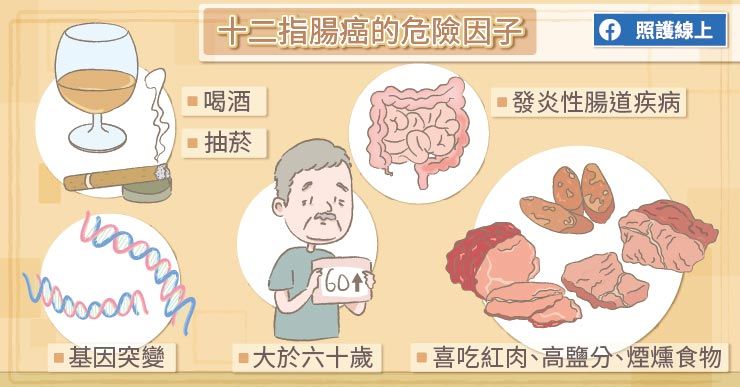 十二指腸