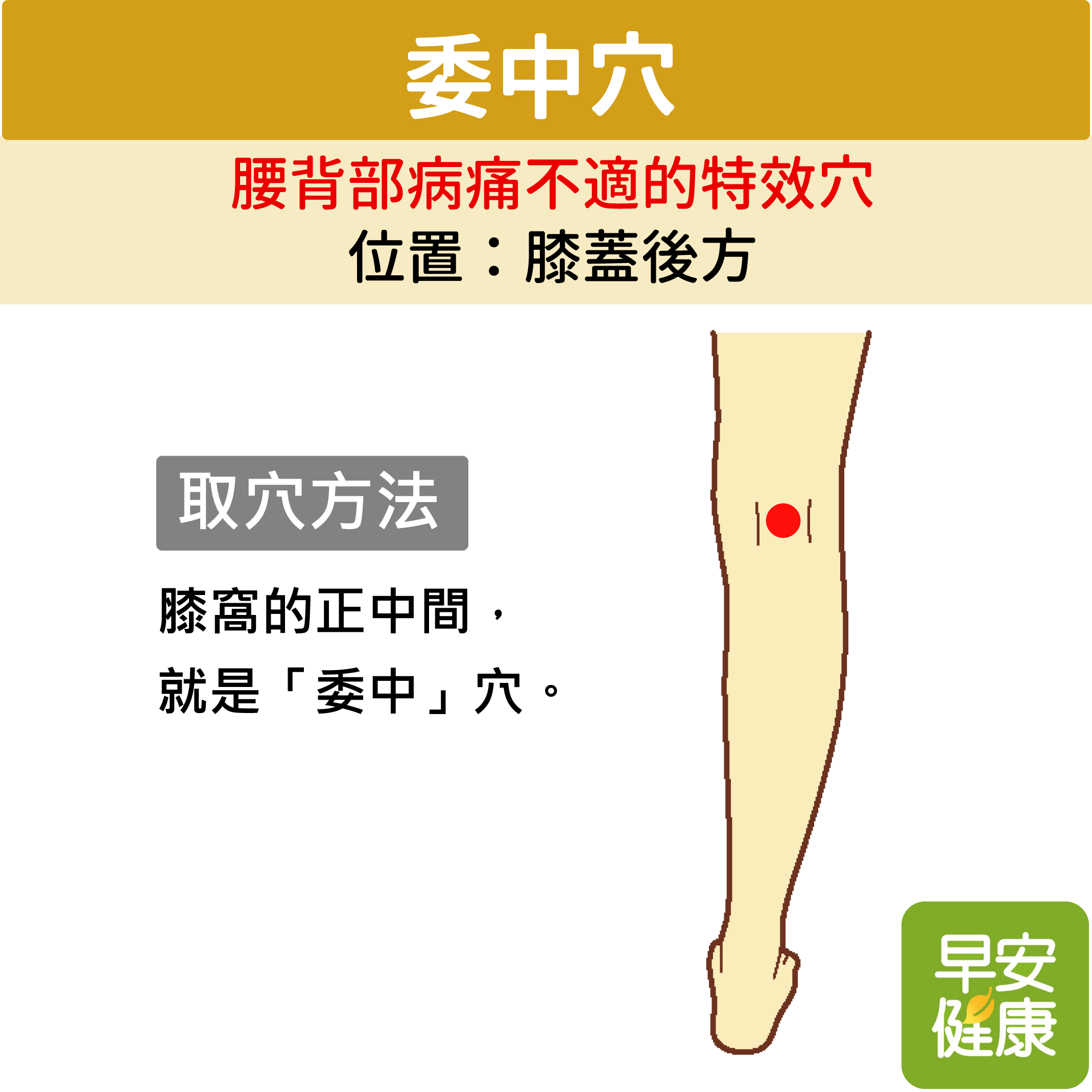 委中穴
