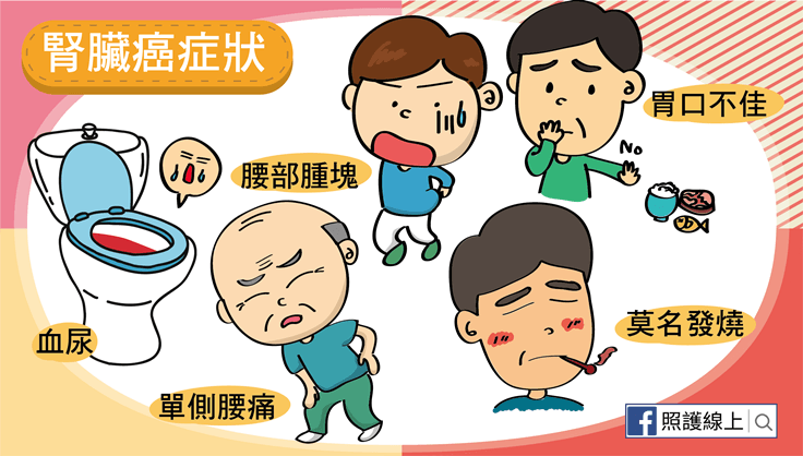 腎臟