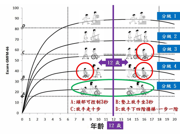 楊忠一