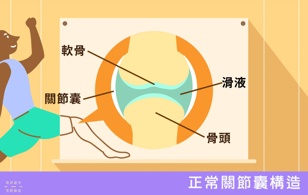 關節