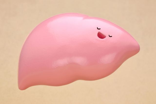 肝