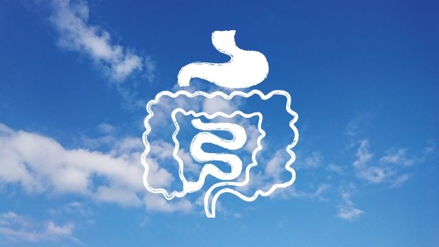 腸胃