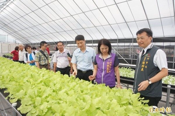 老五老基金會