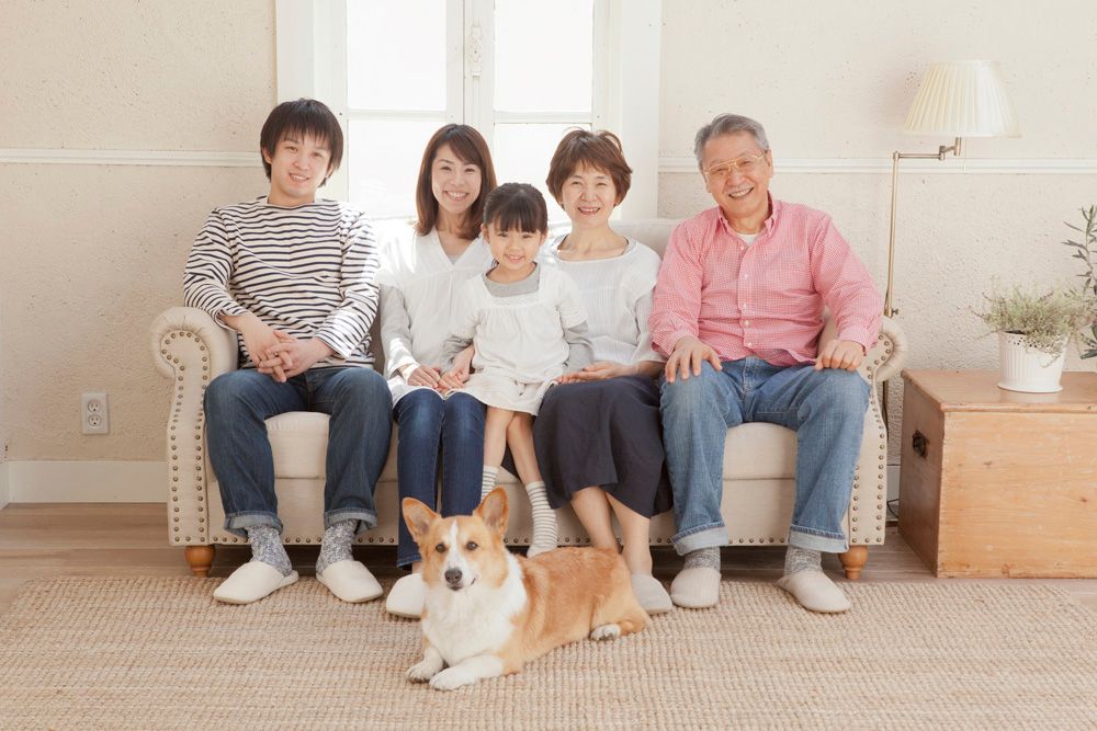 家庭