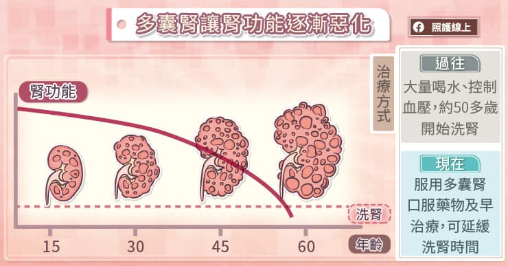 腎臟