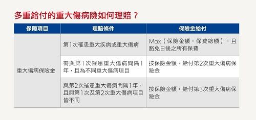 重大傷病險
