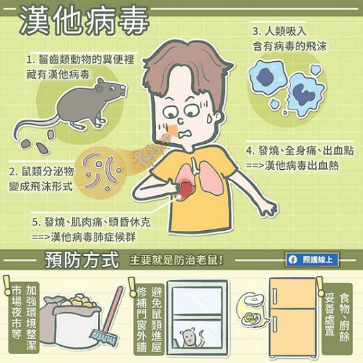 漢他病毒