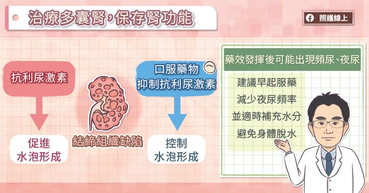 腎臟