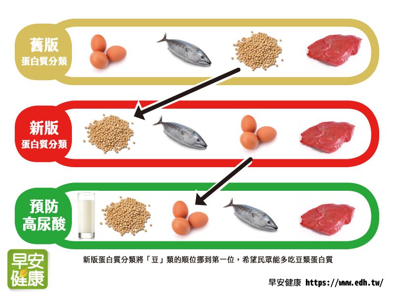 蛋白質