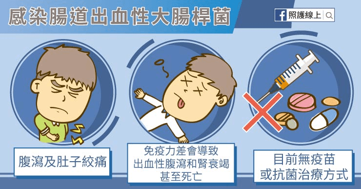 大腸桿菌