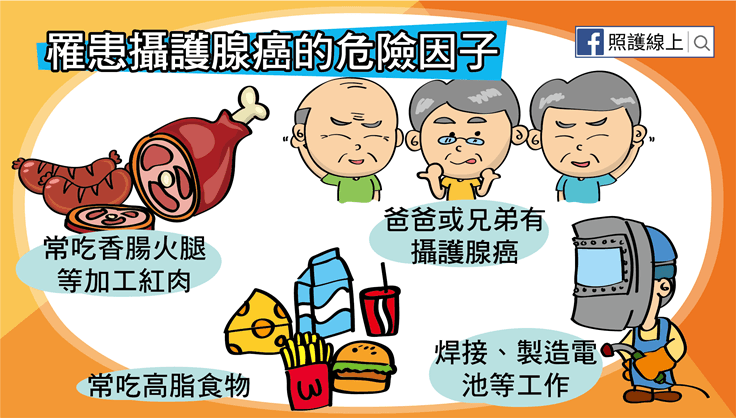攝護腺