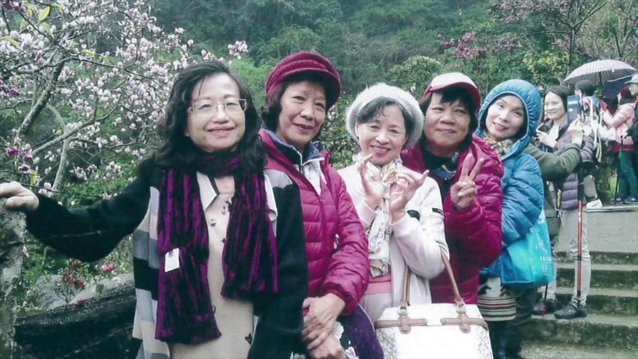 失智症