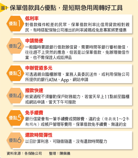 保單