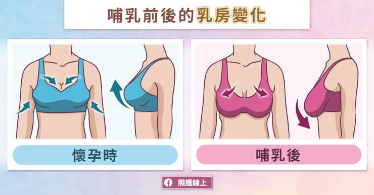 乳房
