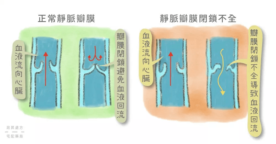 靜脈