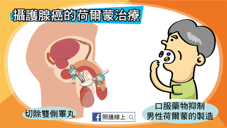 攝護腺
