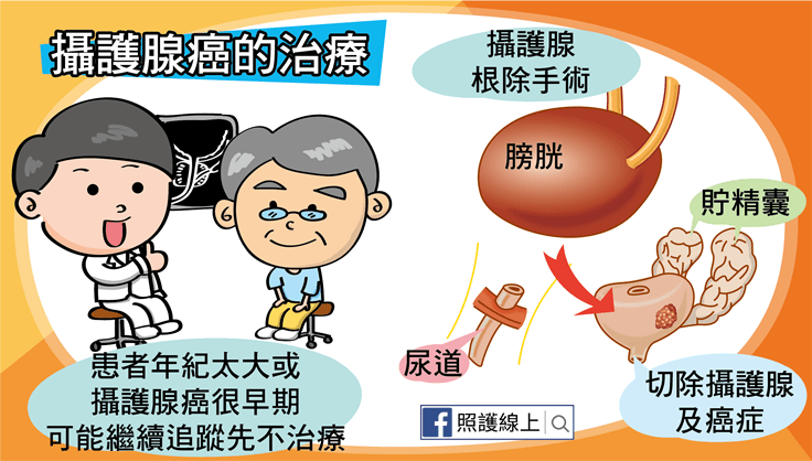 攝護腺