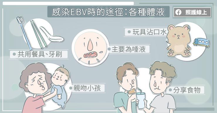 病毒