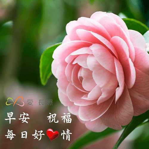 視力衰退
