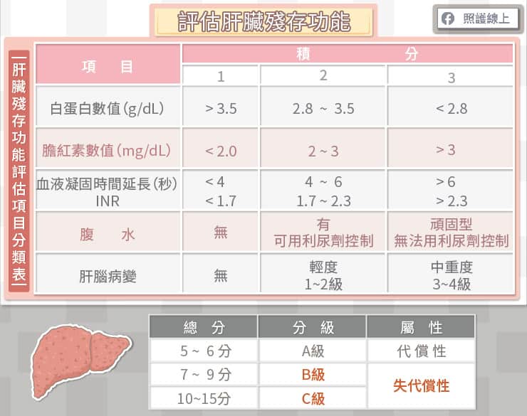 肝臟