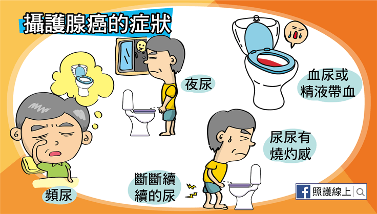 攝護腺