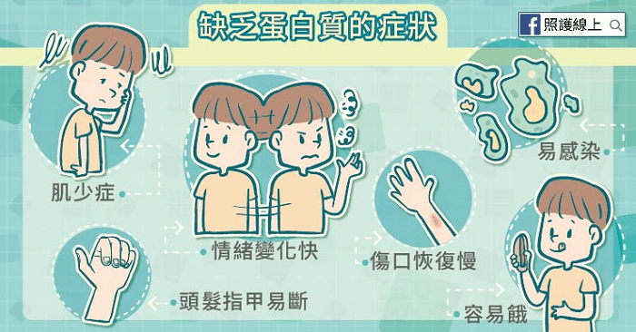蛋白質