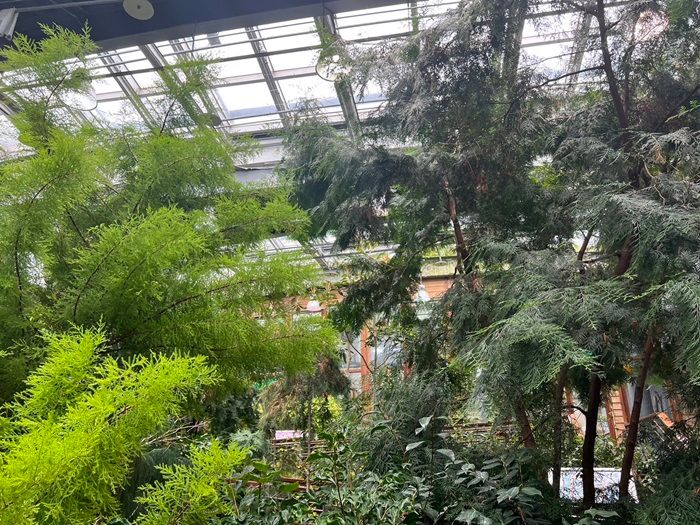 台北花博日照中心鄰近臺北典藏植物園