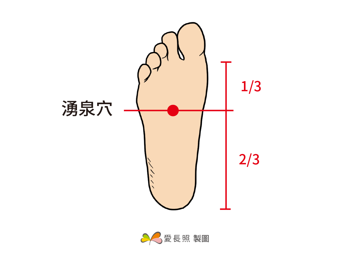 穴位