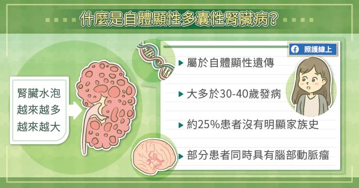 腎臟