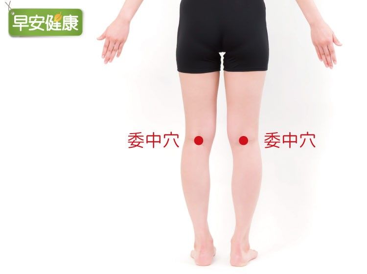 膝蓋