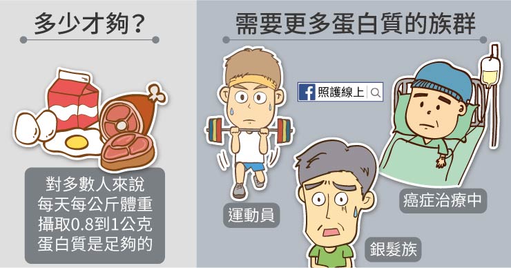 蛋白質