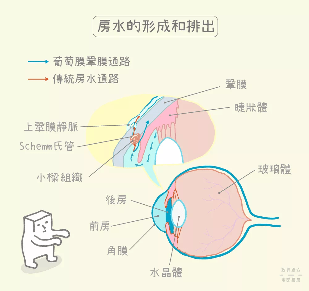 青光眼