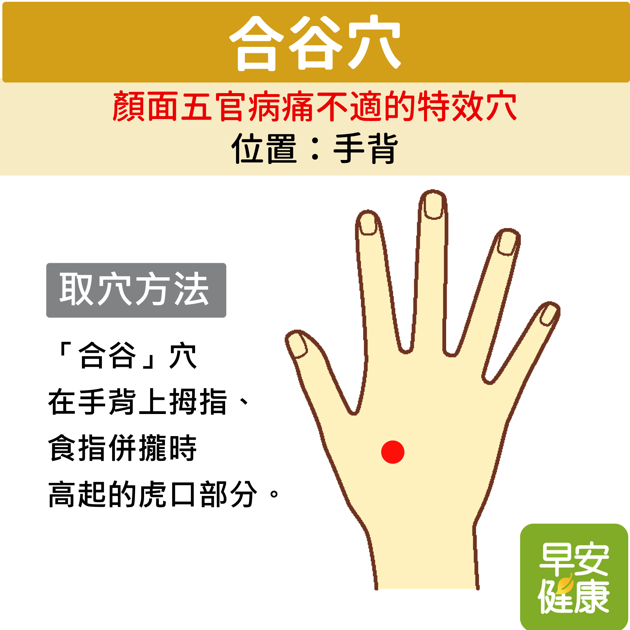 合谷穴