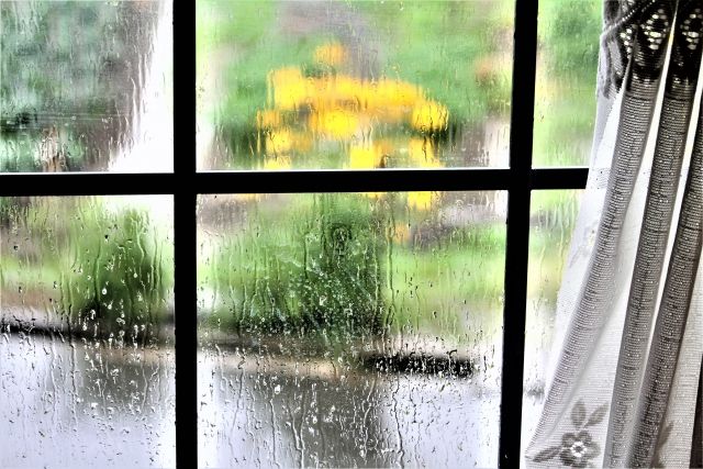 下雨