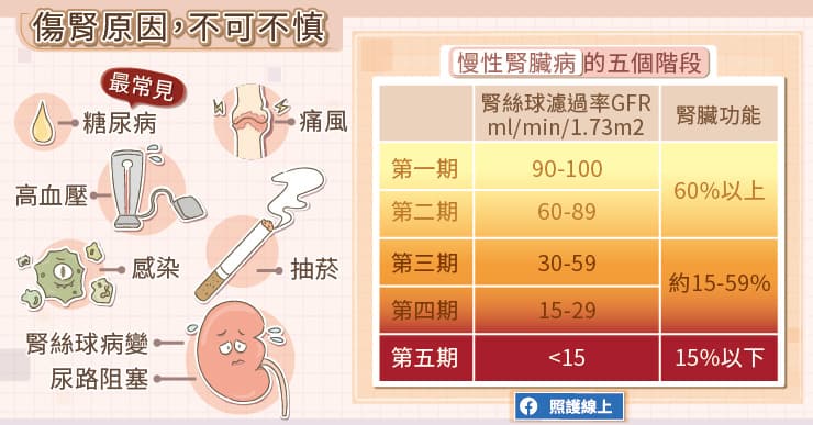 腎臟